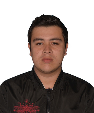 perfil