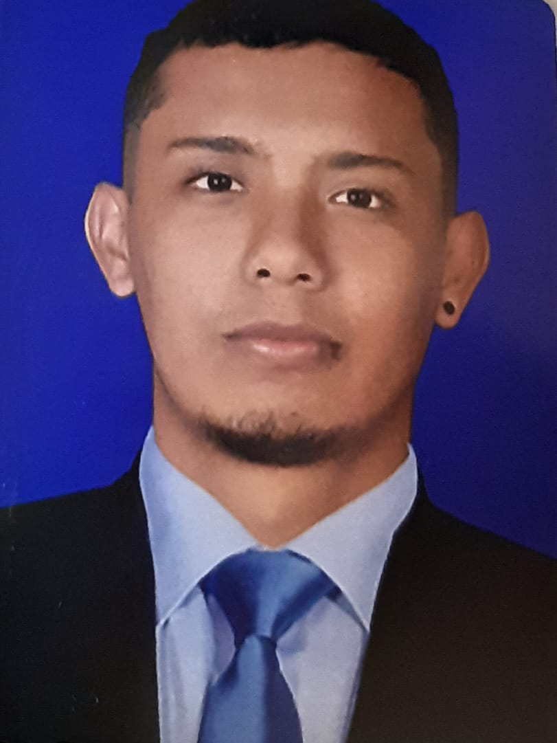 perfil