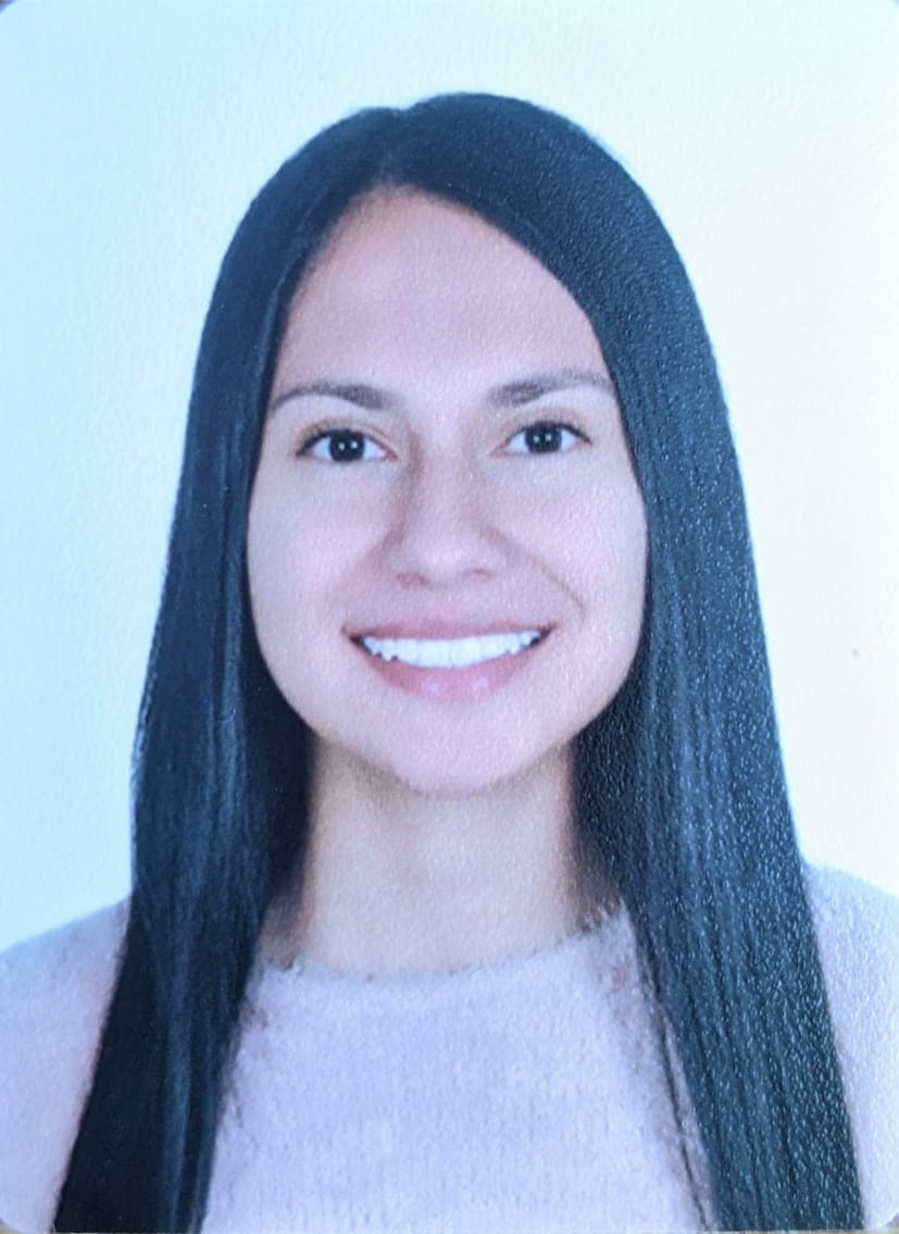 perfil